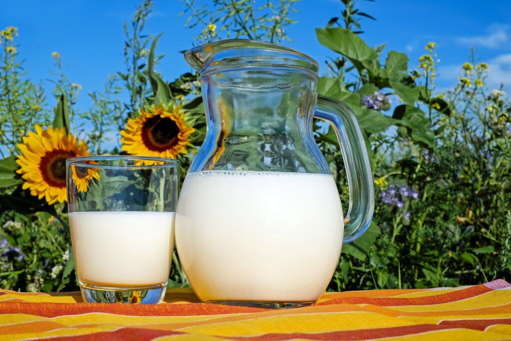 pitcher of milk in front of sunflowers