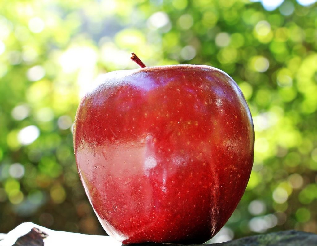 a red shiny apple.