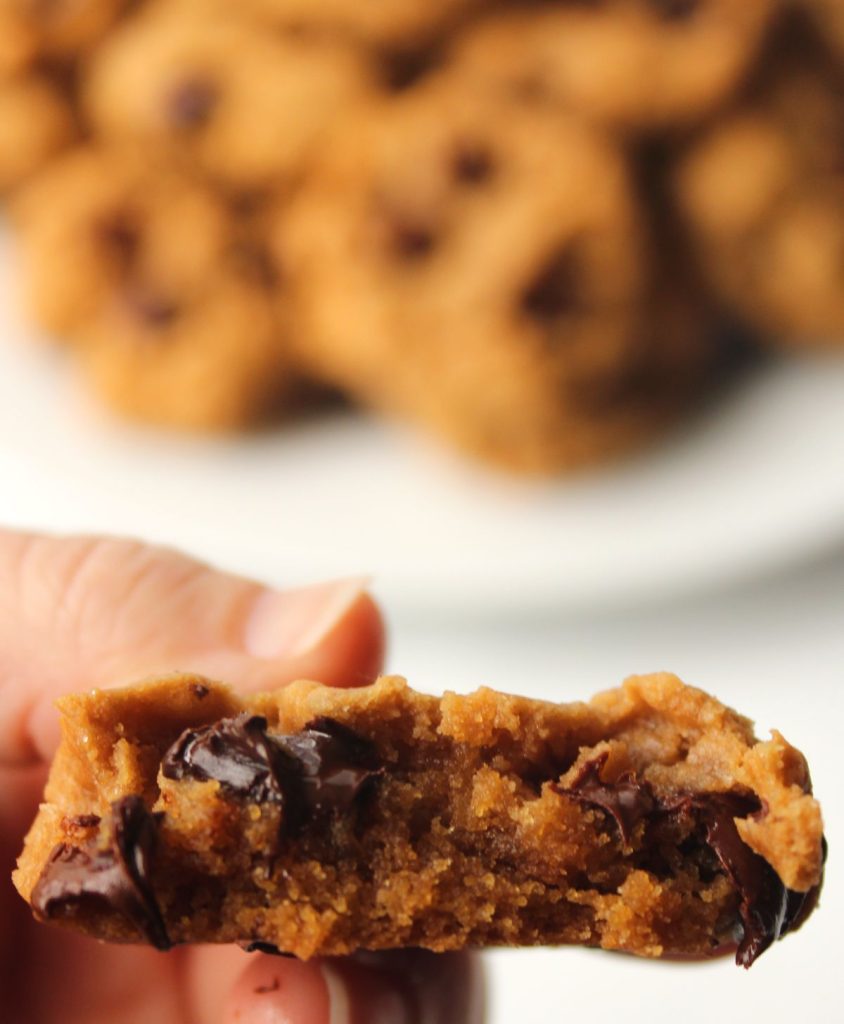 Close up of a peanut butter chocolate chip cookie with a bite taken out.
