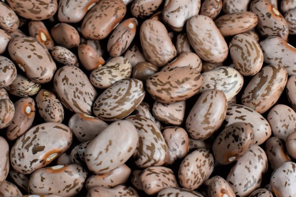 Close up of dried pinto beans.
