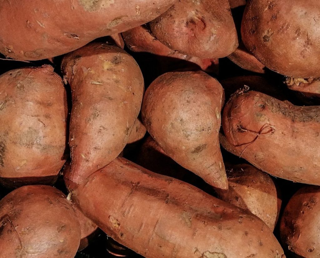 Close up pictures of sweet potatoes.