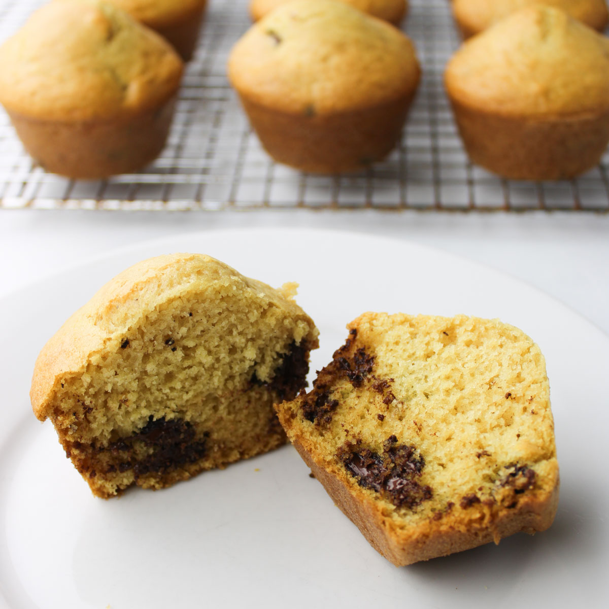 Non-dairy chocolate chip muffin on a plate.